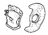 Toyota FRONT DISC BRAKE CALIPER & DUST COVER parts diagram